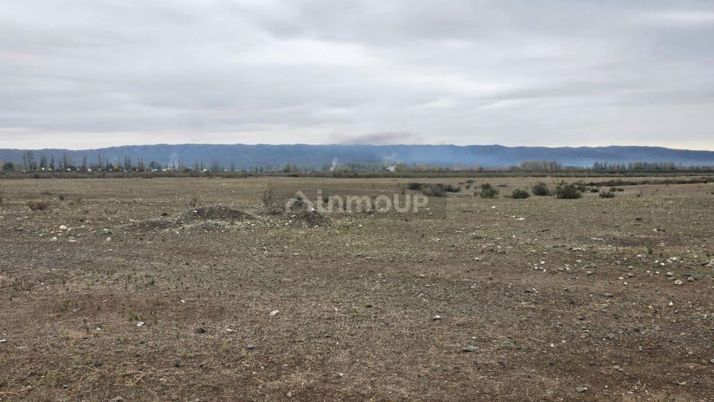 Terreno en Venta en Tupungato, Mendoza