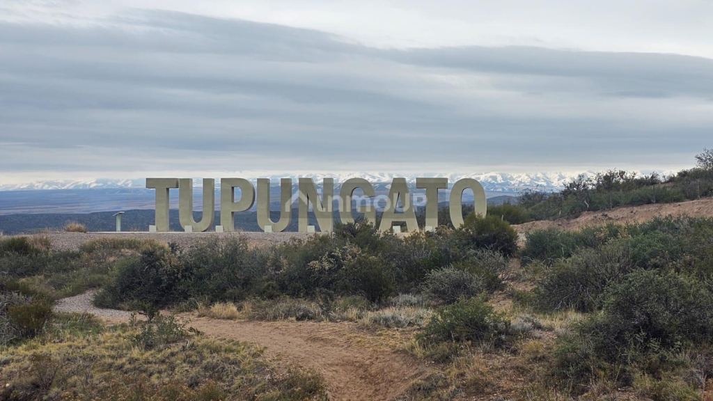 Terreno en Venta en Tupungato, Mendoza