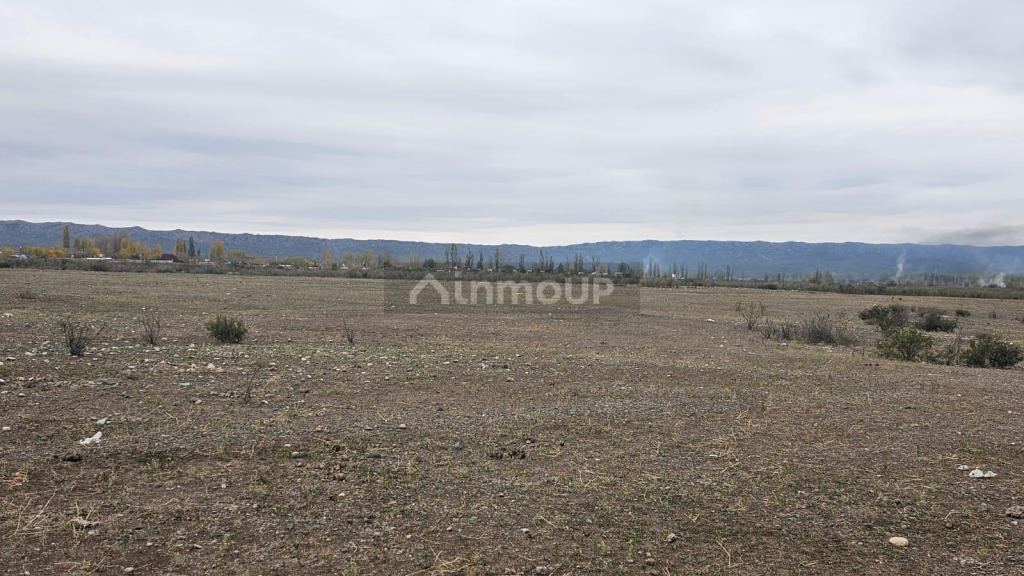 Terreno en Venta en Tupungato, Mendoza