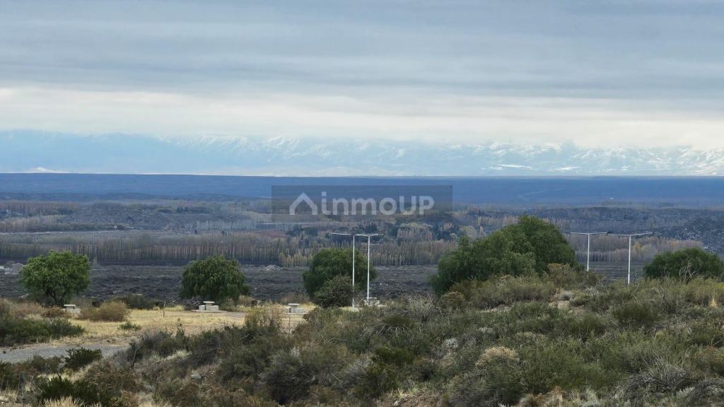 Terreno en Venta en Tupungato, Mendoza