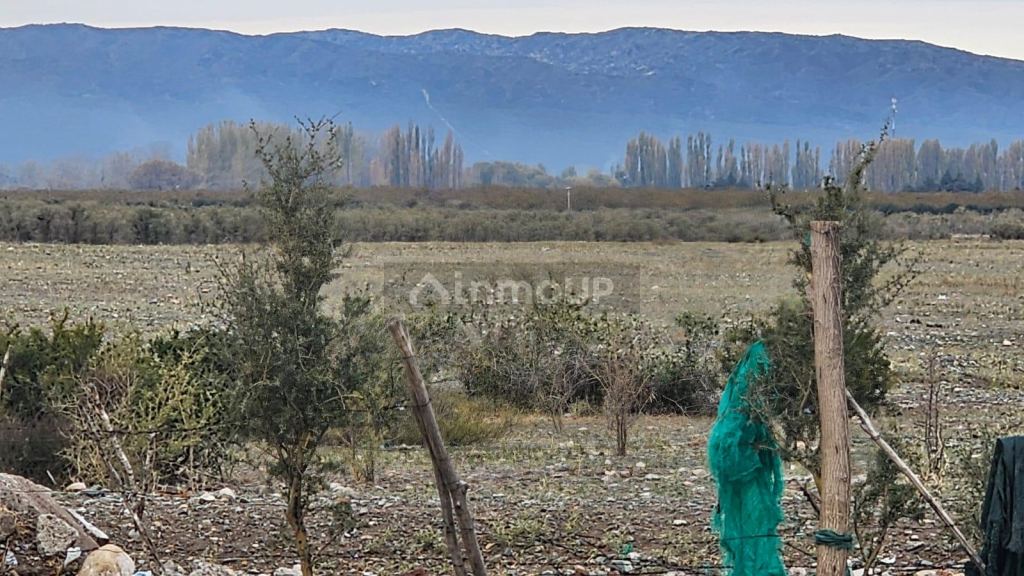 Terreno en Venta en Tupungato, Mendoza