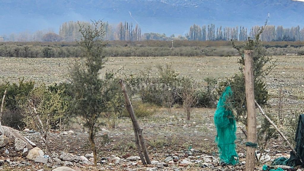 Terreno en Venta en Tupungato, Mendoza