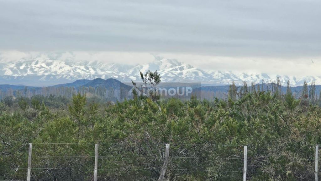Terreno en Venta en Tupungato, Mendoza