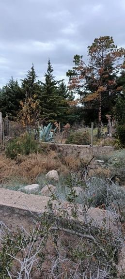Terreno en Venta en Lujan de Cuyo, Mendoza