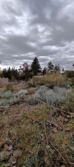Terreno en Venta en Lujan de Cuyo, Mendoza