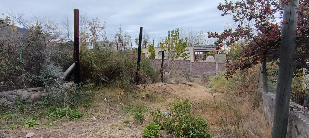 Terreno en Venta en Lujan de Cuyo, Mendoza