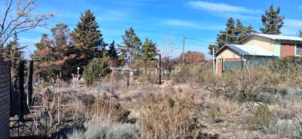 Lote en Venta en Lujan de Cuyo, Mendoza