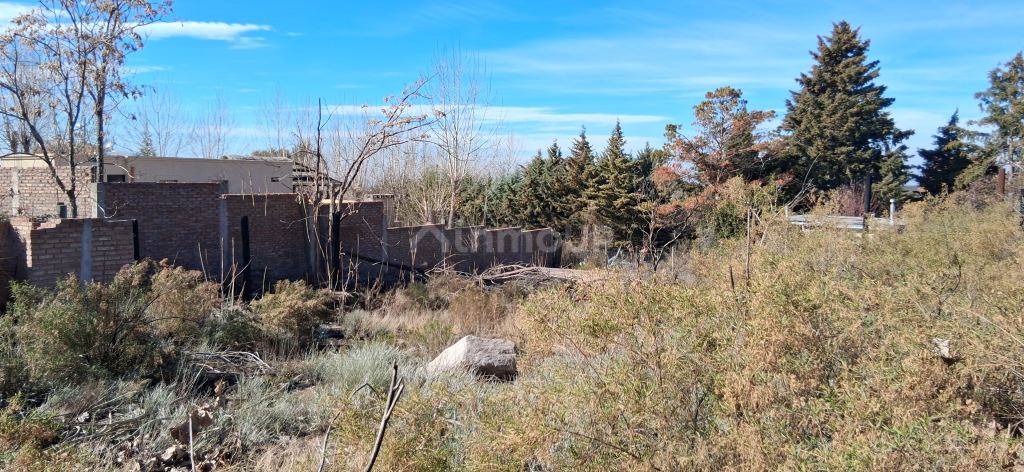 Lote en Venta en Lujan de Cuyo, Mendoza