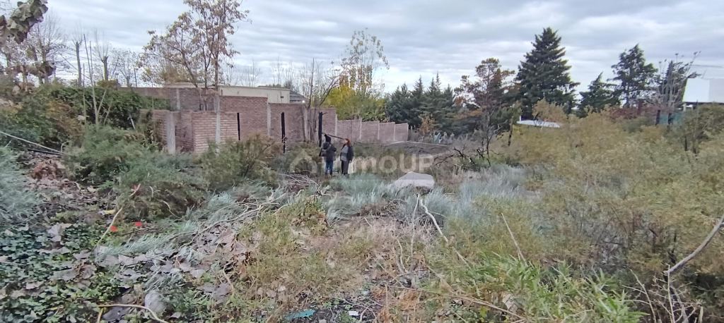 Lote en Venta en Lujan de Cuyo, Mendoza