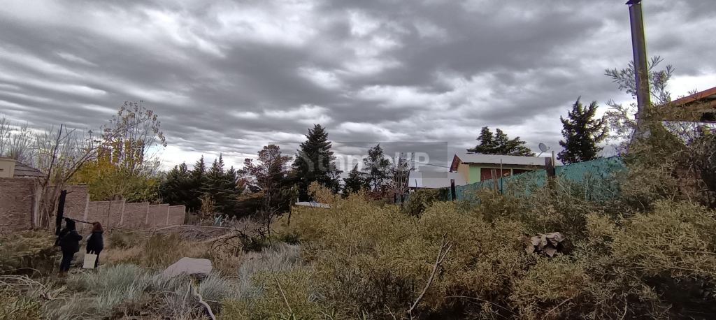 Lote en Venta en Lujan de Cuyo, Mendoza