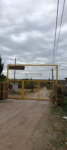 Lote en Venta en Lujan de Cuyo, Mendoza