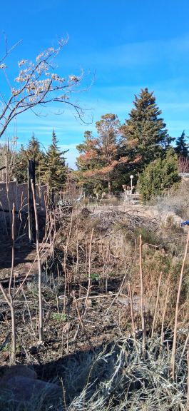 Lote en Venta en Lujan de Cuyo, Mendoza