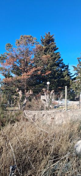 Lote en Venta en Lujan de Cuyo, Mendoza