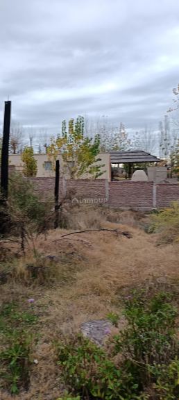 Lote en Venta en Lujan de Cuyo, Mendoza