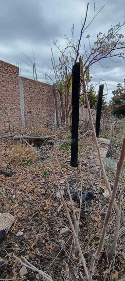 Lote en Venta en Lujan de Cuyo, Mendoza