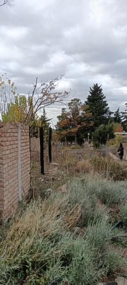 Lote en Venta en Lujan de Cuyo, Mendoza