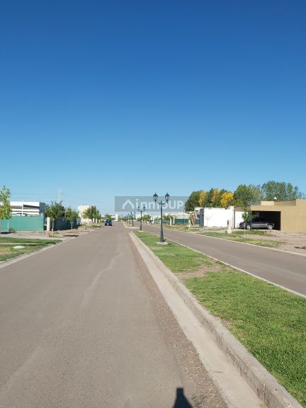 Lote en Venta en Lujan de Cuyo, Mendoza