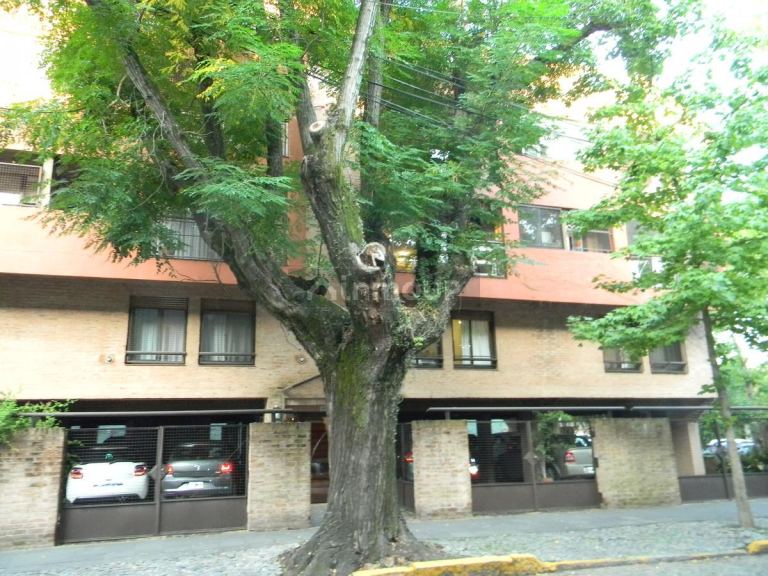 San Isidro Alberti al 300