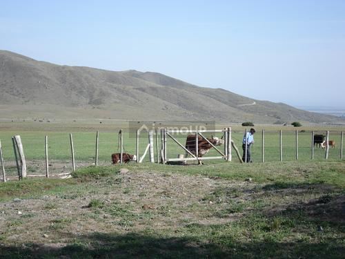 Terreno en Venta en Tupungato, Mendoza