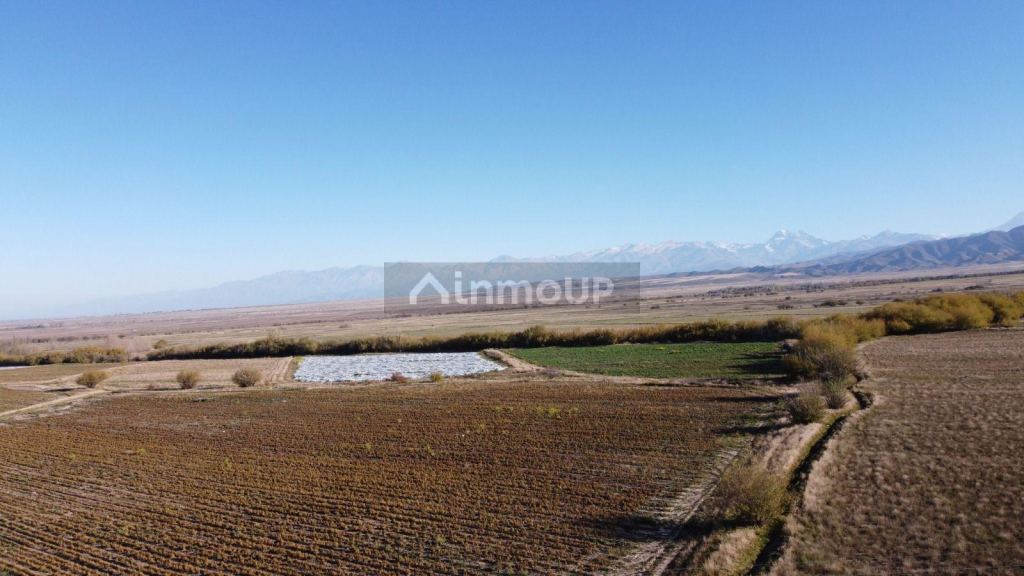 Terreno en Venta en Tupungato, Mendoza