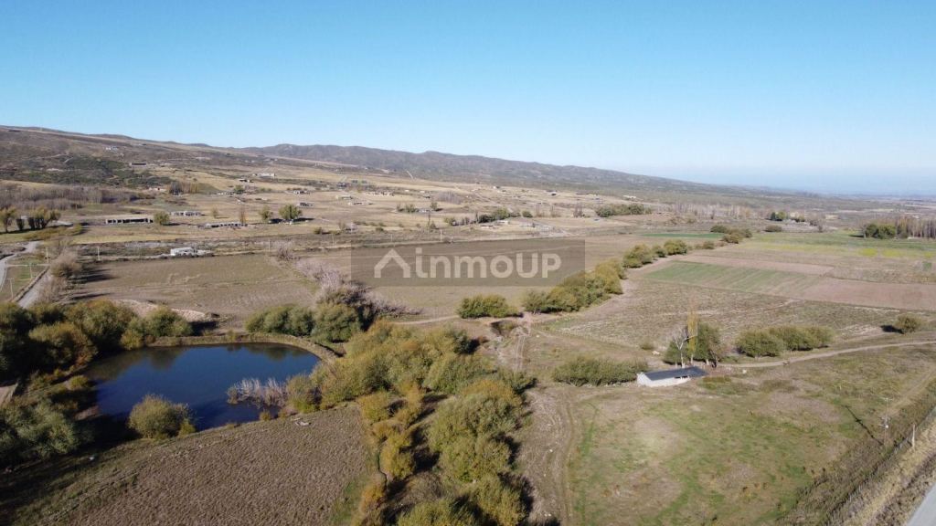 Terreno en Venta en Tupungato, Mendoza