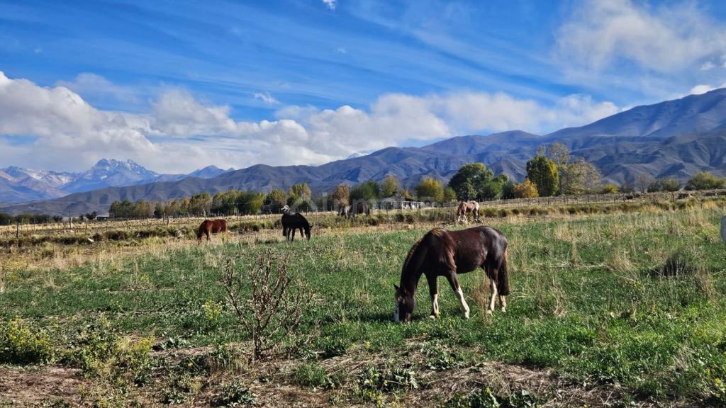 Terreno en Venta en Tupungato, Mendoza