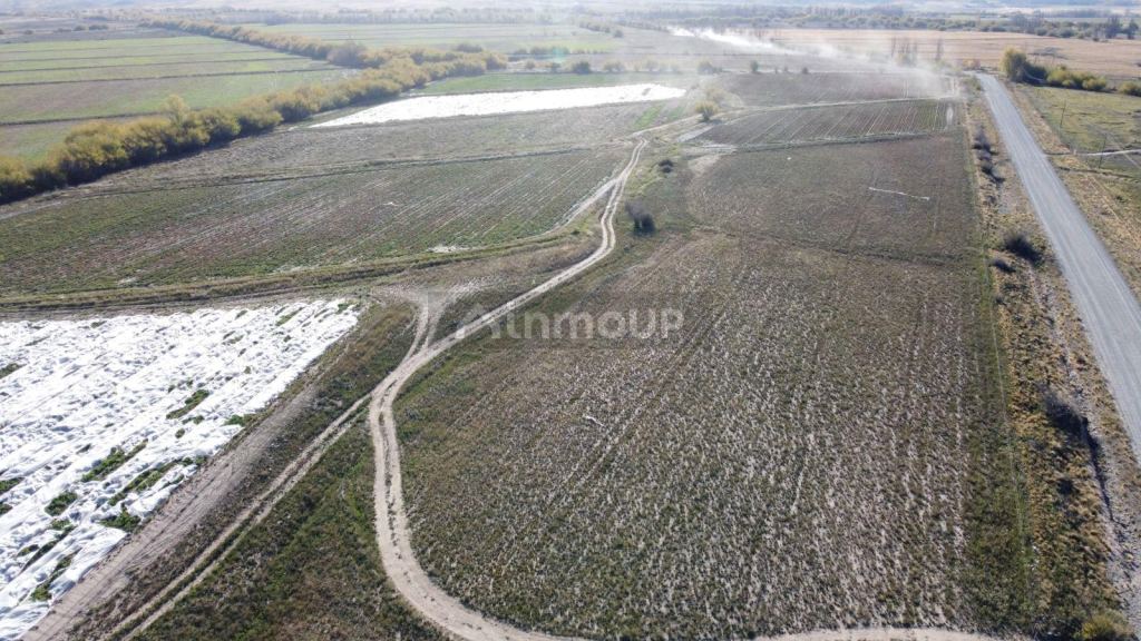 Terreno en Venta en Tupungato, Mendoza