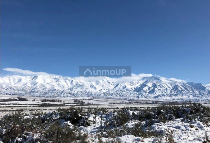 Terreno en Venta en Tupungato, Mendoza
