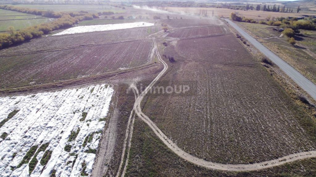 Terreno en Venta en Tupungato, Mendoza