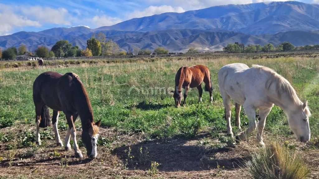 Terreno en Venta en Tupungato, Mendoza