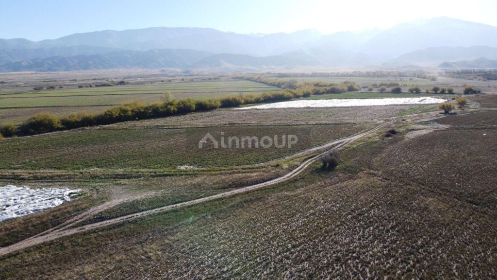Terreno en Venta en Tupungato, Mendoza