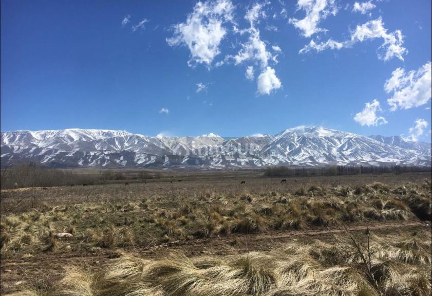 Terreno en Venta en Tupungato, Mendoza