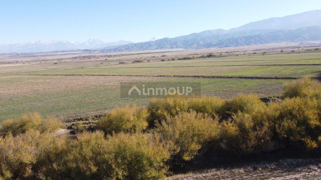 Terreno en Venta en Tupungato, Mendoza