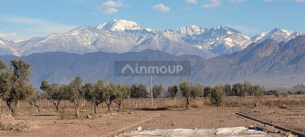 Lote en Venta en Lujan de Cuyo, Mendoza