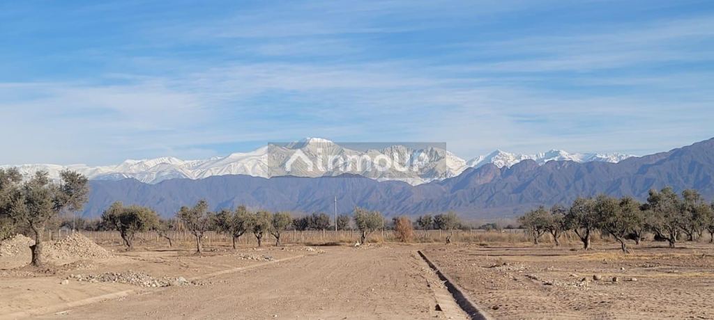 Lote en Venta en Lujan de Cuyo, Mendoza
