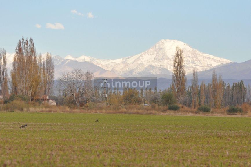 Finca en Venta en Lujan de Cuyo, Mendoza