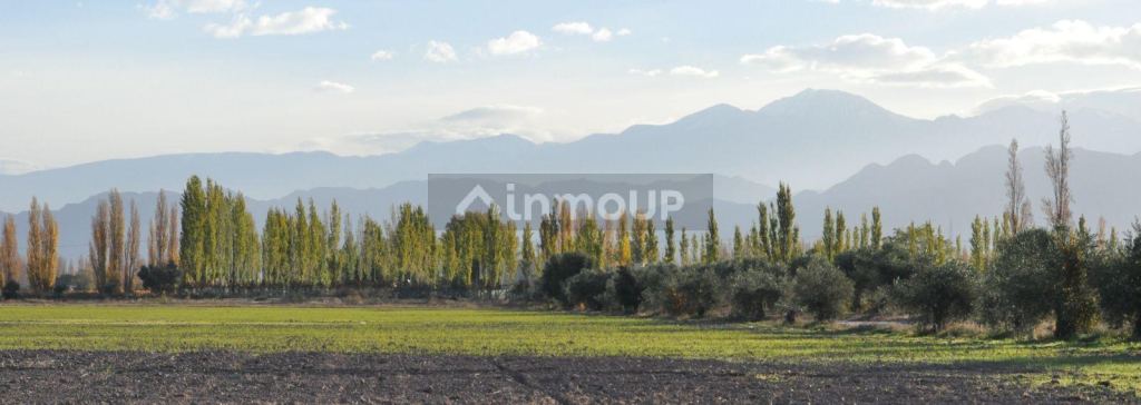 Finca en Venta en Lujan de Cuyo, Mendoza
