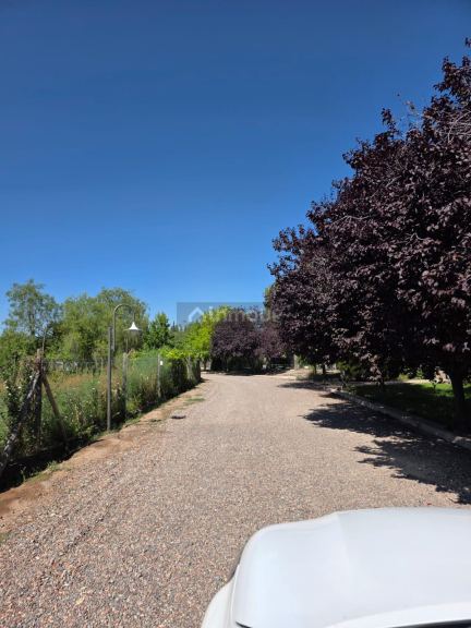 Lote en Venta en Lujan de Cuyo, Mendoza