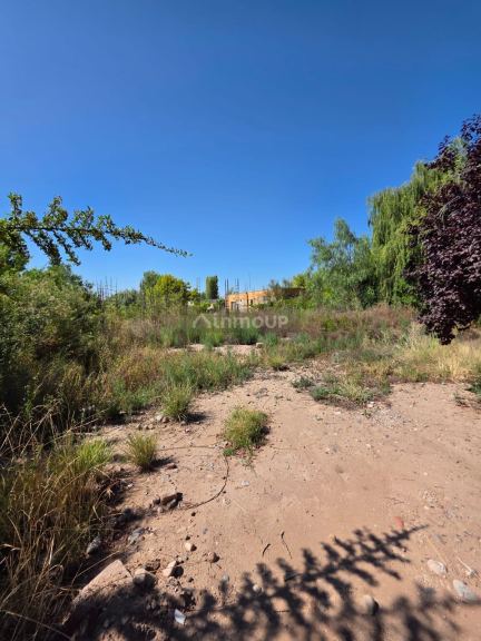 Lote en Venta en Lujan de Cuyo, Mendoza