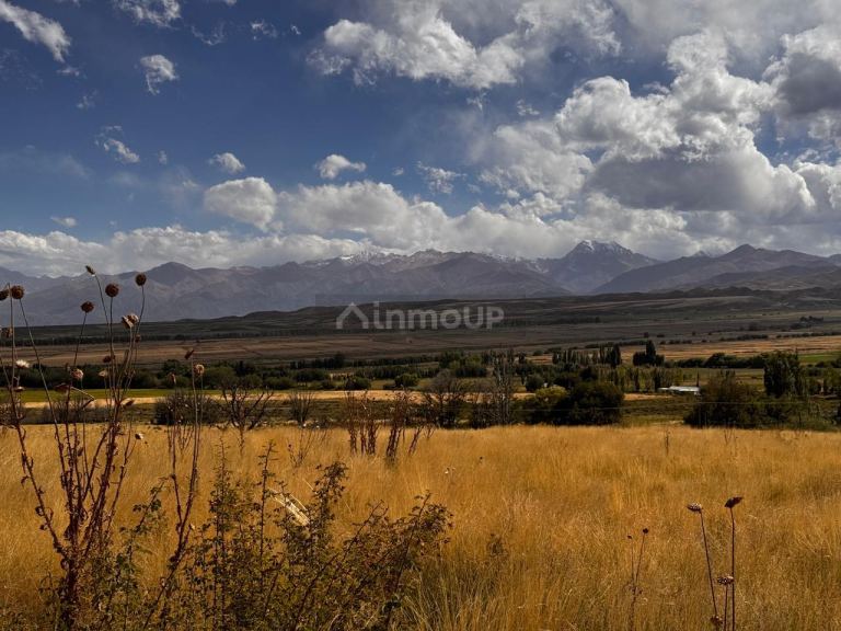 Lote en Venta en Tupungato, Mendoza