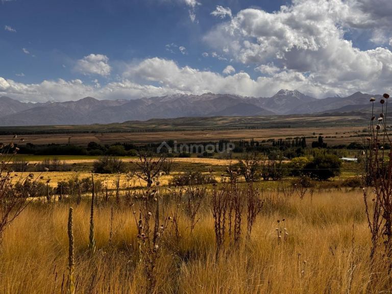 Lote en Venta en Tupungato, Mendoza