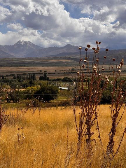 Lote en Venta en Tupungato, Mendoza