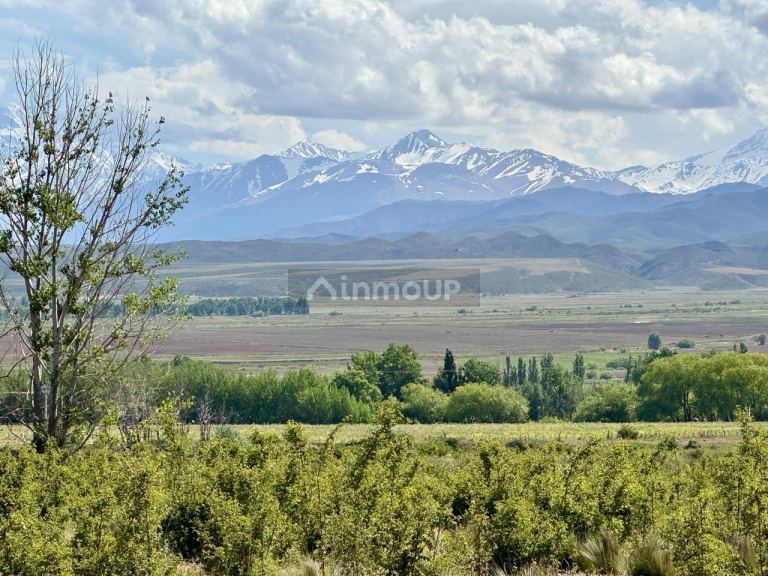Lote en Venta en Tupungato, Mendoza