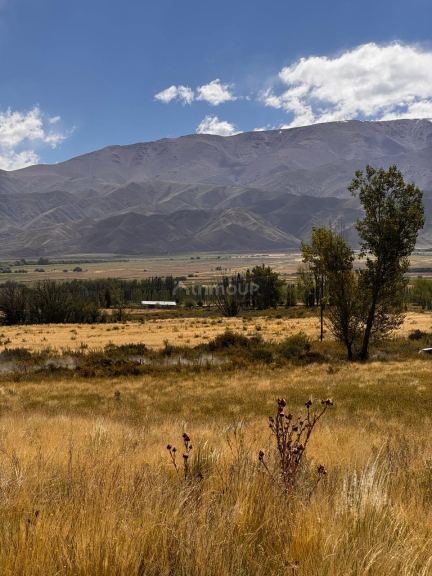 Lote en Venta en Tupungato, Mendoza