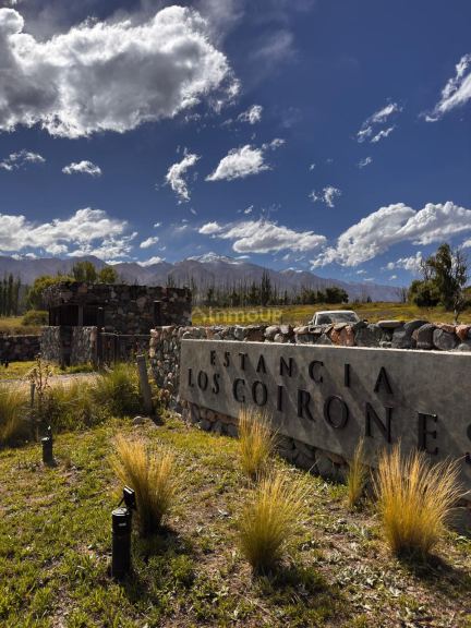 Lote en Venta en Tupungato, Mendoza
