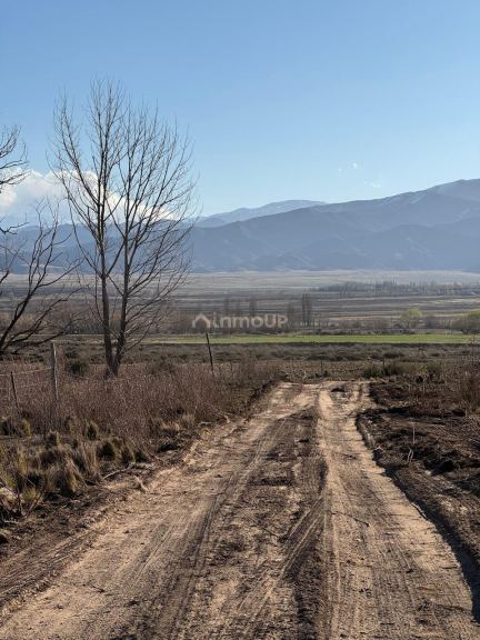 Lote en Venta en Tupungato, Mendoza