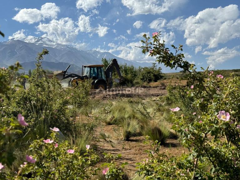 Lote en Venta en Tupungato, Mendoza