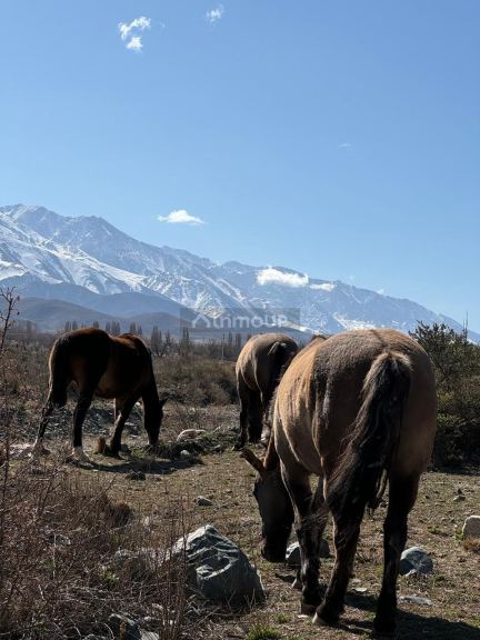 Lote en Venta en Tupungato, Mendoza