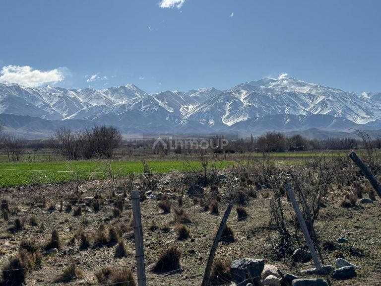 Lote en Venta en Tupungato, Mendoza