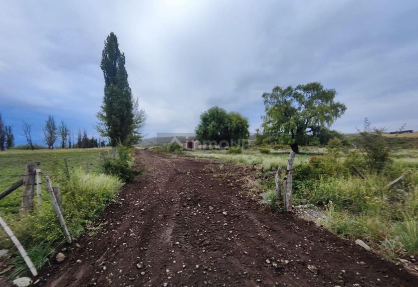 Galpon en Alquiler en Tupungato, Mendoza